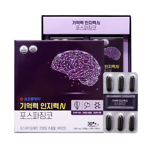 기억력 인지력 엔 포스파징코