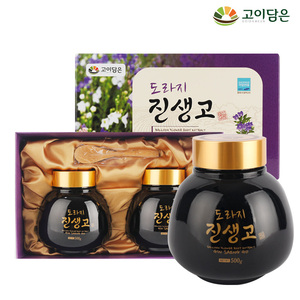 고이담은 도라지진생고