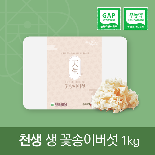 천생 생꽃송이버섯