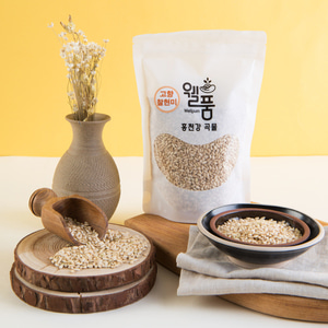 홍천 누룽지향 고향찰현미 500g