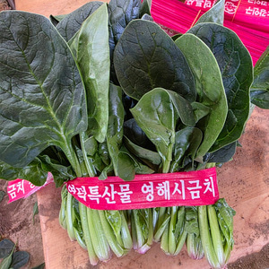 포항영해초