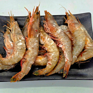 자연산 대하