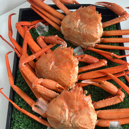육수용자숙홍게3kg_공급