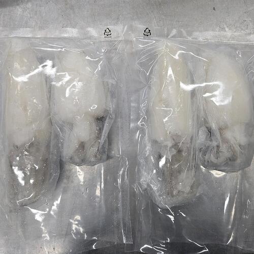 손질 통갑오징어 2미