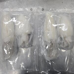 손질 통갑오징어 2미