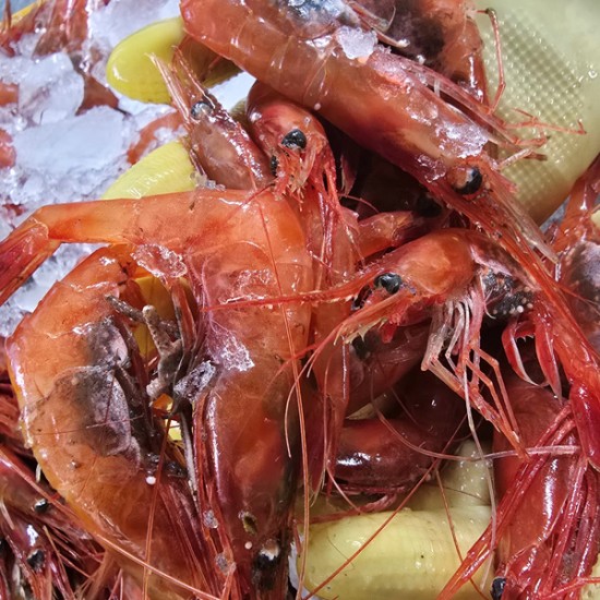 냉동 동해안 자연산 단새우(홍새우) 500g