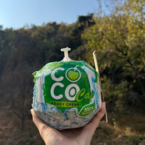영코코넛