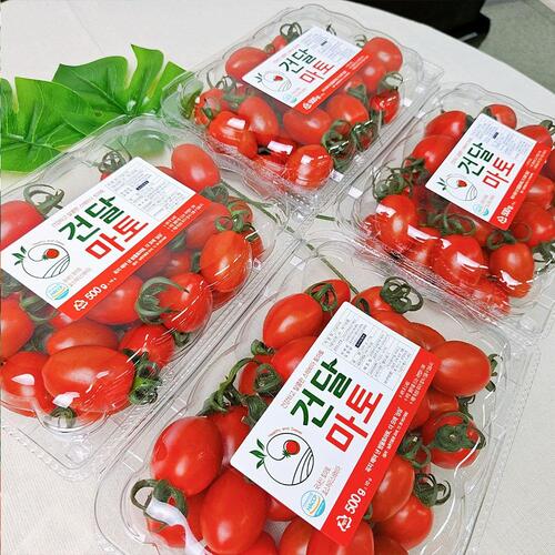 국내산 스테비아 방울토마토